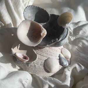 Handmade Real Seashell Ring Holder